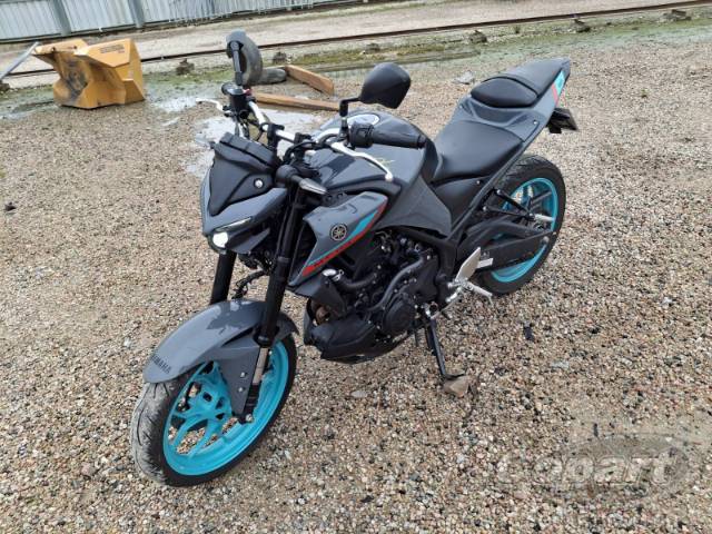 2024 YAMAHA MT-03 