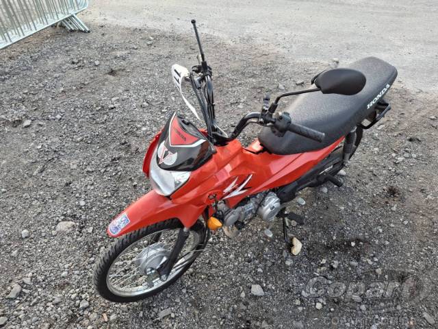 2026 HONDA POP 