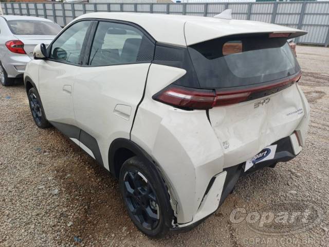 2026 BYD DOLPHIN MINI 