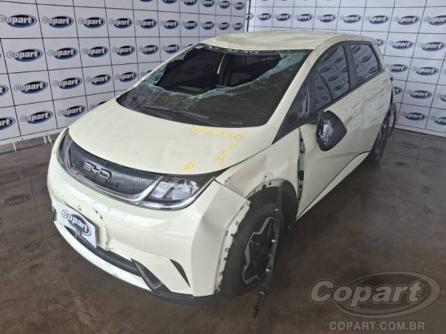 2025 BYD DOLPHIN 