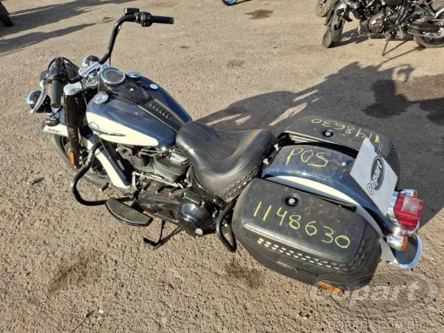 2019 HARLEY-DAVIDSON SOFTAIL 