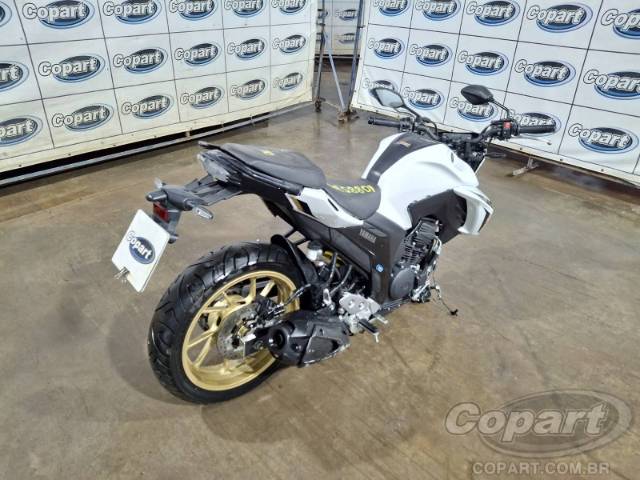 2025 YAMAHA FZ25 FAZER 