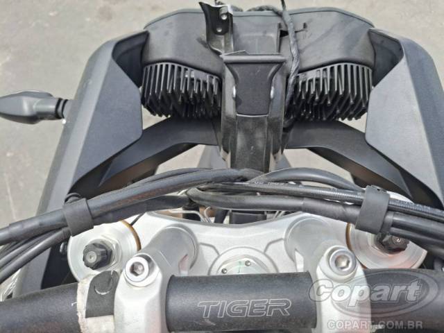 2025 TRIUMPH TIGER 
