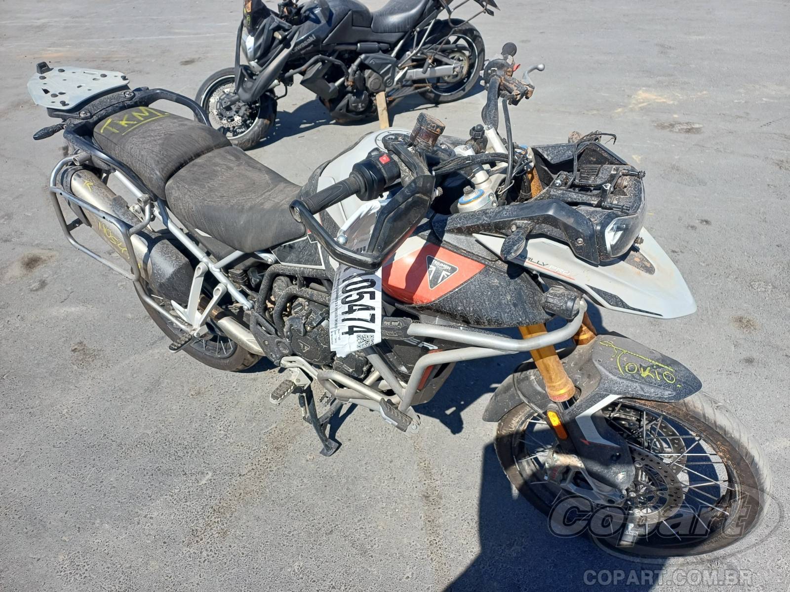 TRIUMPH TIGER 2025