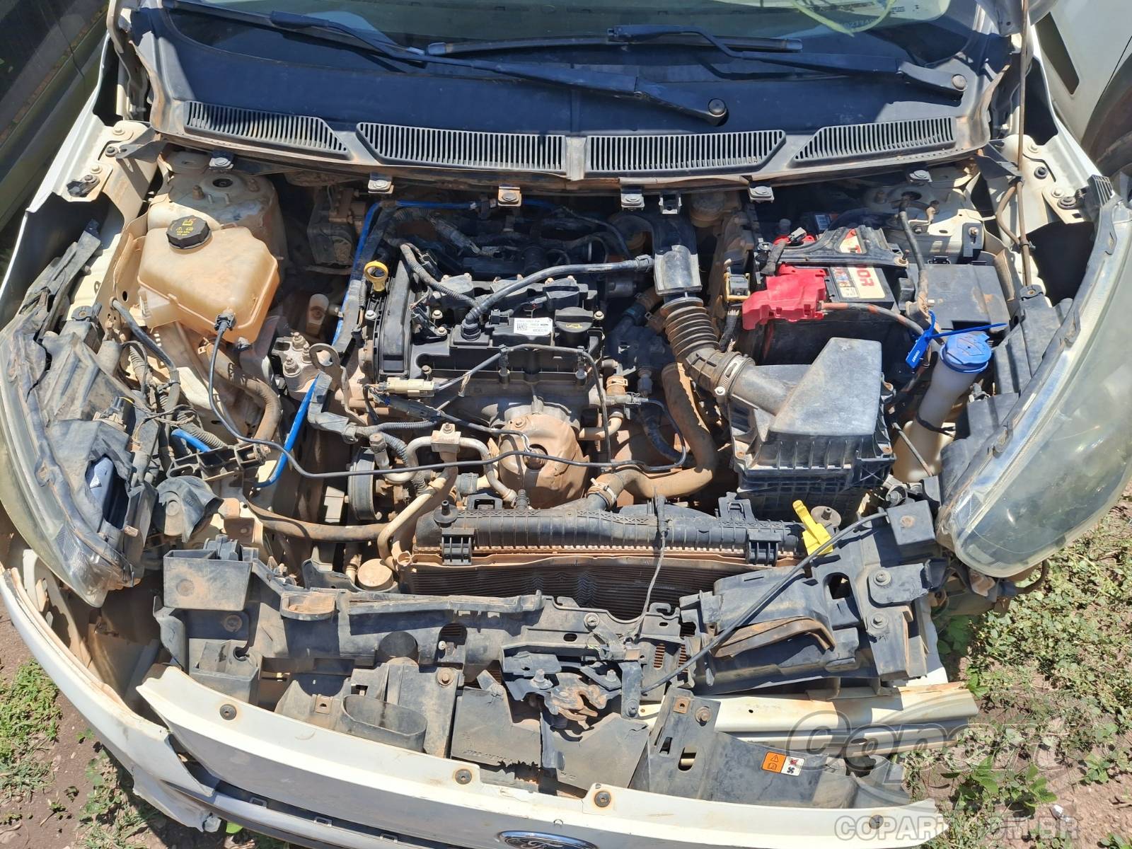 Foto 7 de 10: 2019 FORD KA