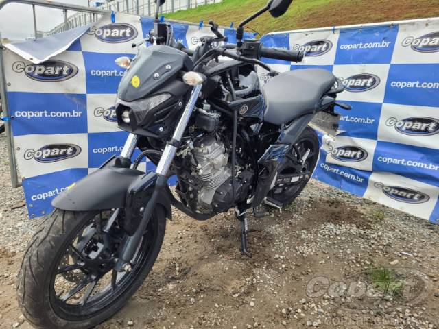 2024 YAMAHA FZ15 