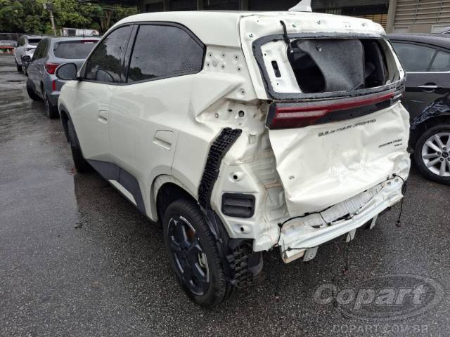 2025 BYD DOLPHIN MINI 