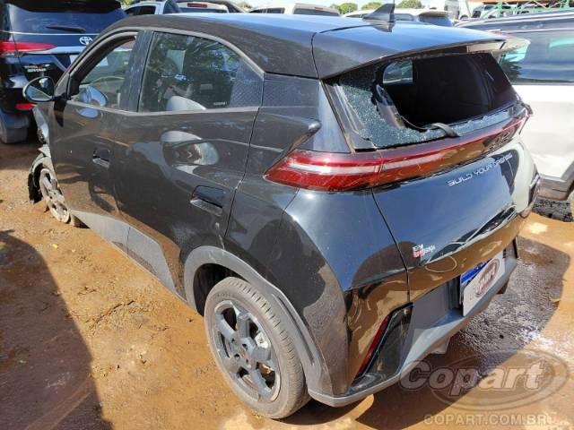 2025 BYD DOLPHIN MINI 