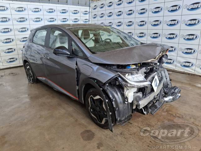 2026 BYD DOLPHIN 