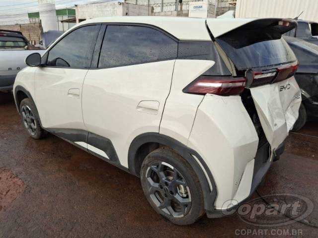 2026 BYD DOLPHIN MINI 
