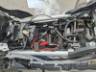 2026 TRIUMPH TIGER 