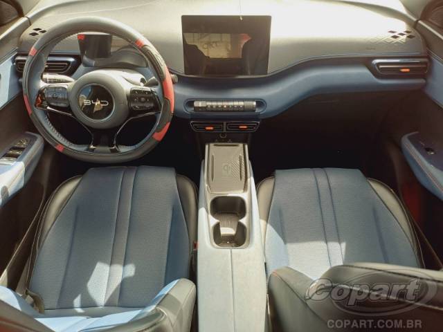 2025 BYD DOLPHIN MINI 