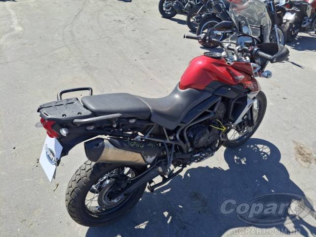 2019 TRIUMPH TIGER 