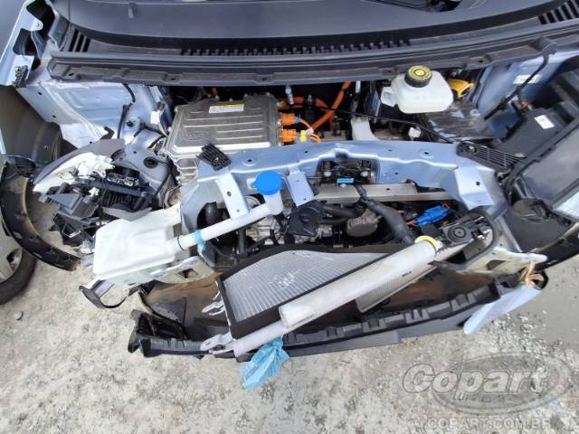 2026 BYD DOLPHIN MINI 