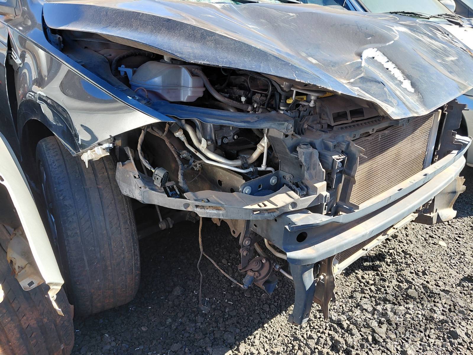 Foto 11 de 14: 2019 VOLKSWAGEN POLO