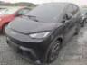 2025 BYD DOLPHIN MINI 