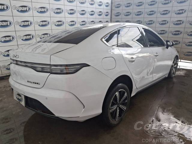 2025 BYD KING 