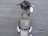 2020 HONDA BIZ 