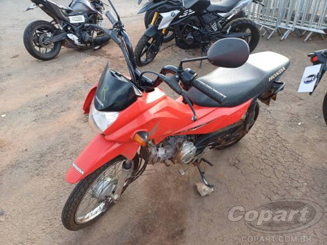 2024 HONDA POP 