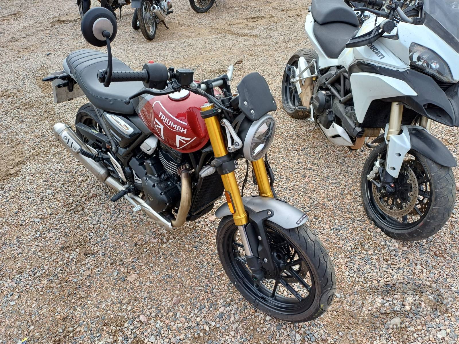 TRIUMPH SPEED 2025