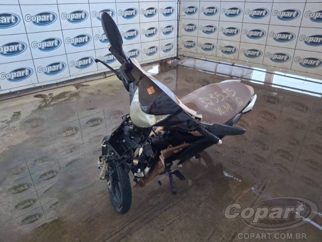 2023 SHINERAY 50Q 