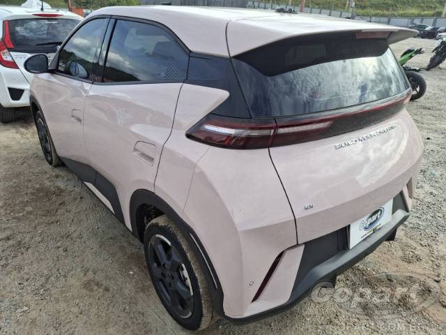 2025 BYD DOLPHIN MINI 