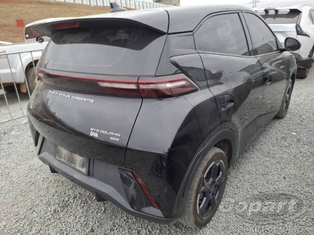 2025 BYD DOLPHIN MINI 