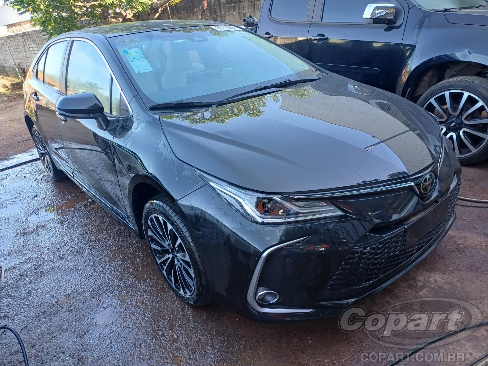 TOYOTA COROLLA 2024