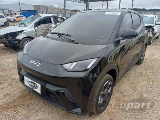 2027 BYD DOLPHIN MINI 