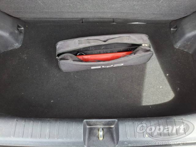 2025 BYD DOLPHIN MINI 