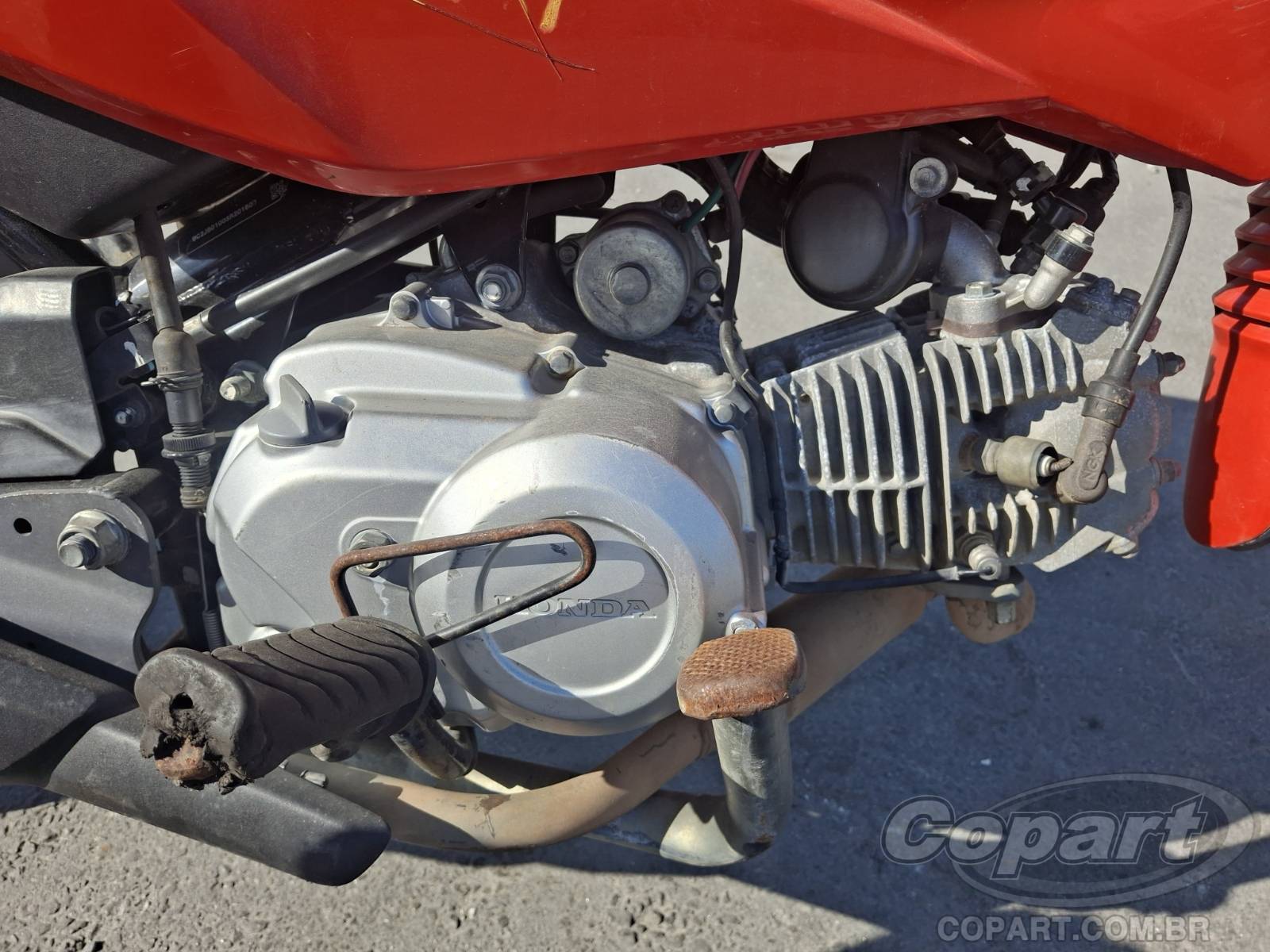 Foto 5: 2025 HONDA POP