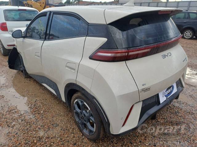 2026 BYD DOLPHIN MINI 