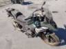 2025 BMW R 1300 