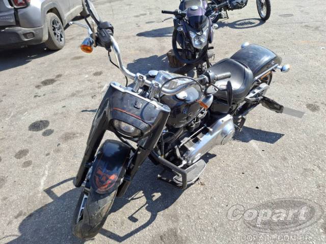2019 HARLEY-DAVIDSON SOFTAIL 