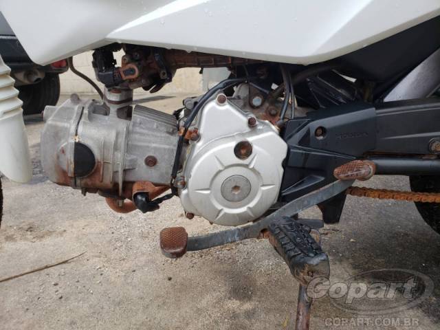 2019 HONDA POP 
