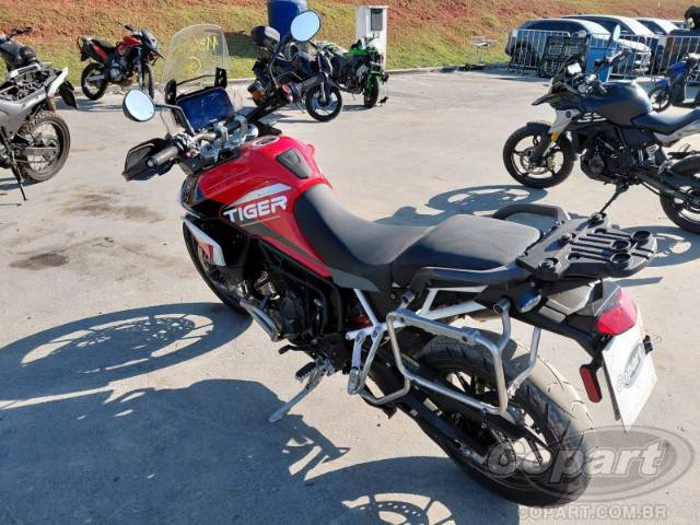 2024 TRIUMPH TIGER 