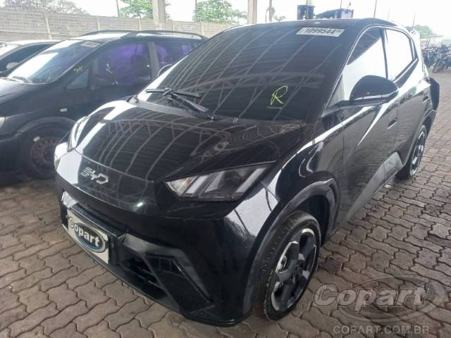 2025 BYD DOLPHIN MINI 
