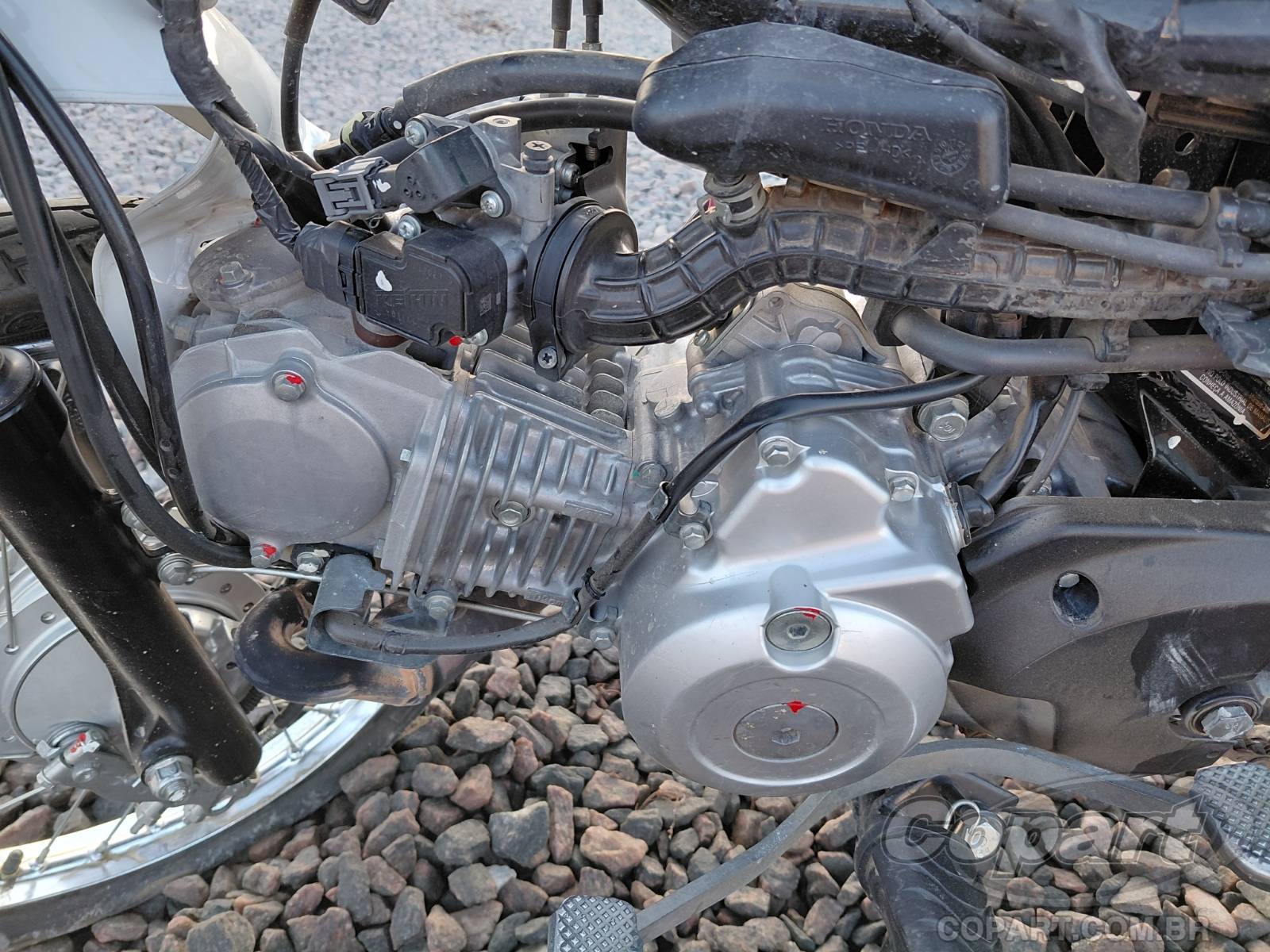 2025 HONDA POP — foto 6 de 11