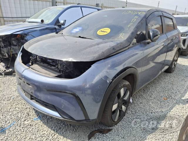 2025 BYD DOLPHIN 