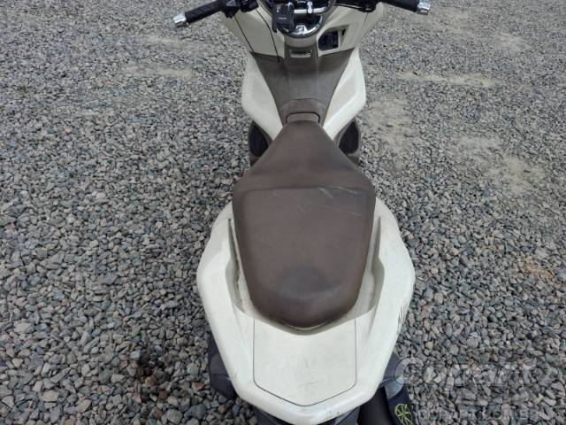 2019 HONDA PCX 
