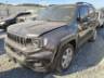 2024 JEEP RENEGADE 