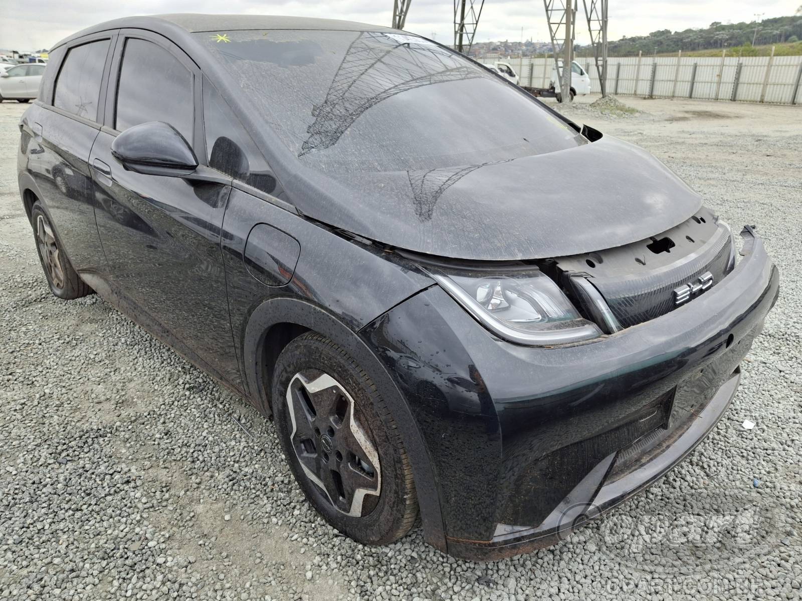2024 BYD DOLPHIN