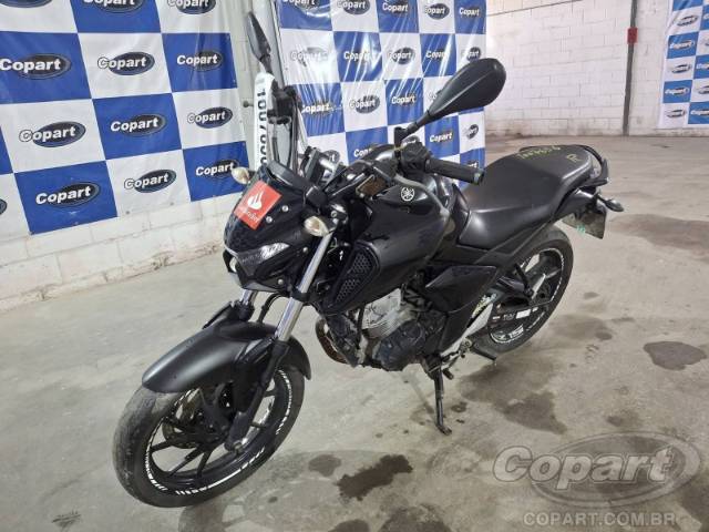2024 YAMAHA FZ15 