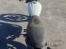 2026 ROYAL ENFIELD HUNTER 