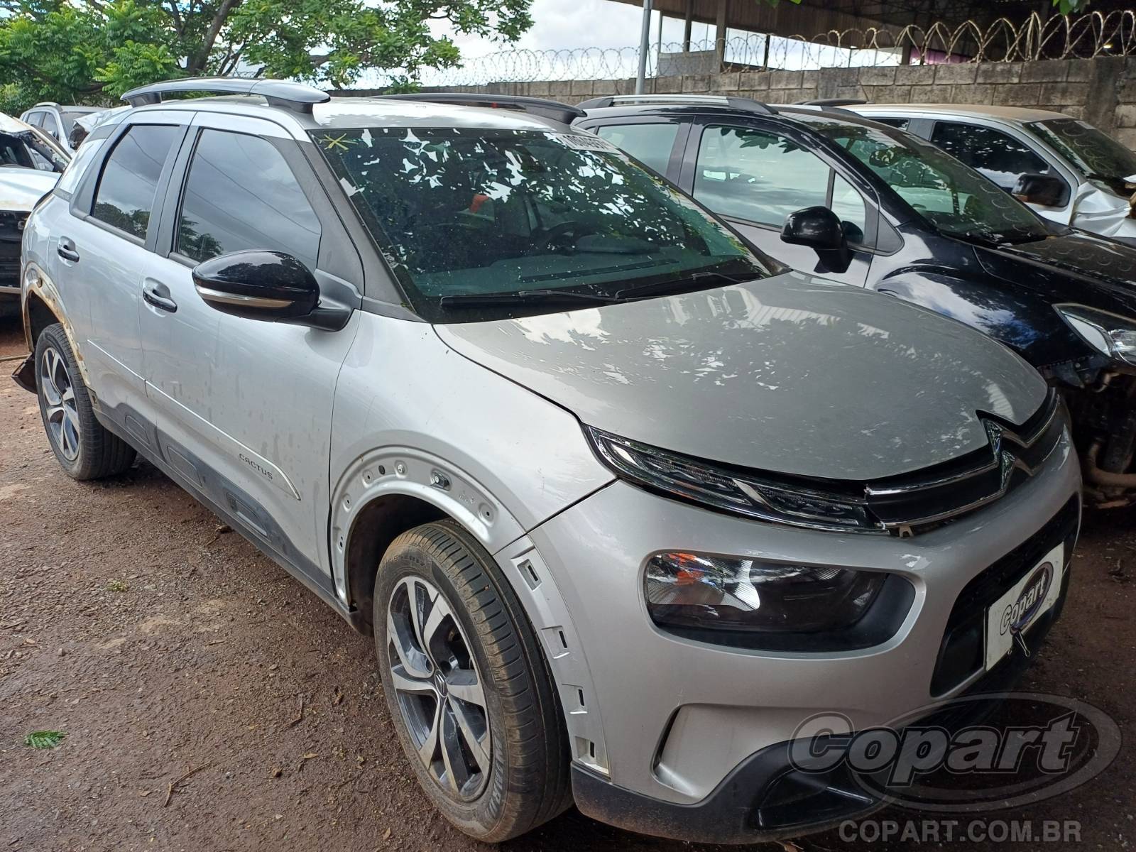 CITROEN C4 CACTUS Shine 1.6 Turbo 2020