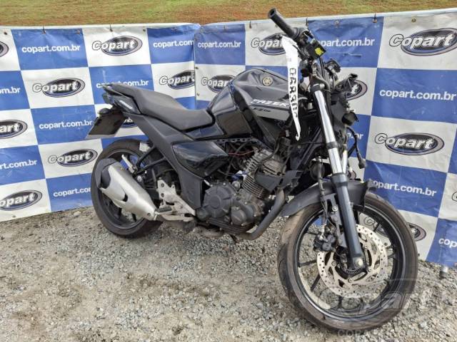 2024 YAMAHA FZ15 