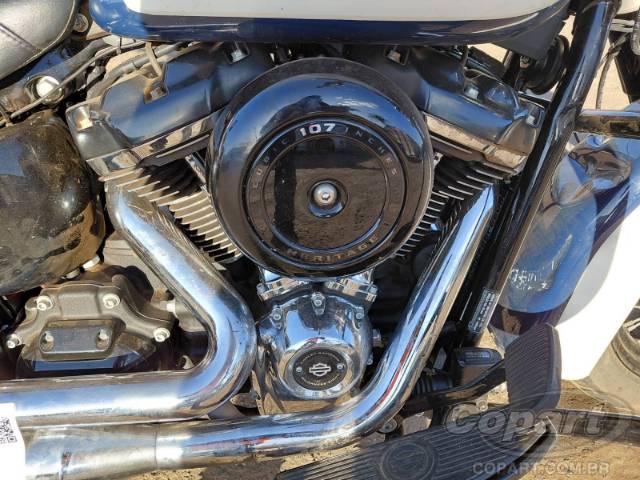 2019 HARLEY-DAVIDSON SOFTAIL 