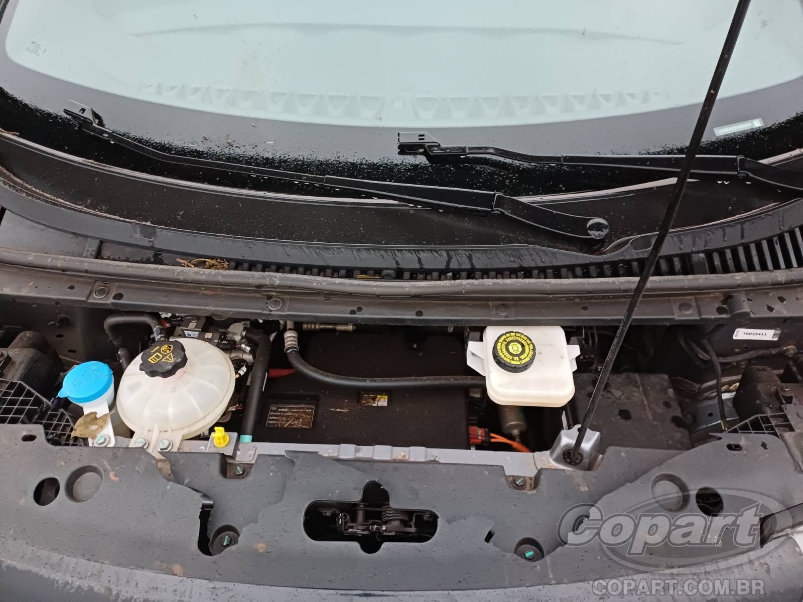 2026 BYD DOLPHIN — foto 7 de 11