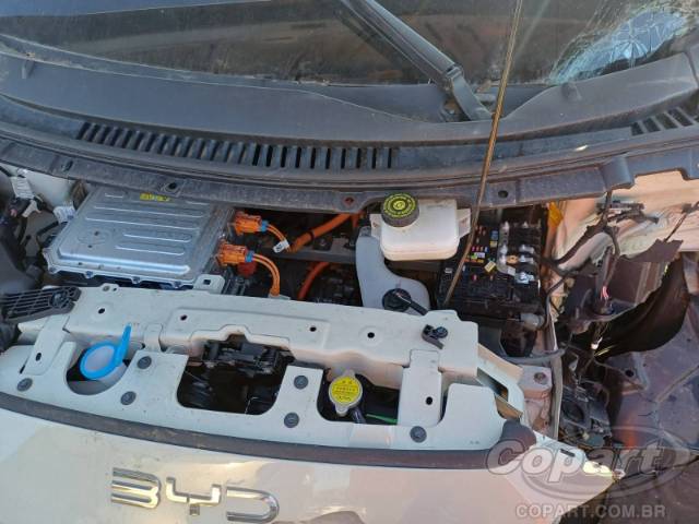 2026 BYD DOLPHIN MINI 