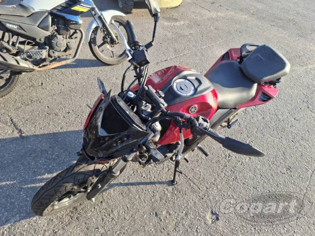 2025 YAMAHA FZ25 FAZER 